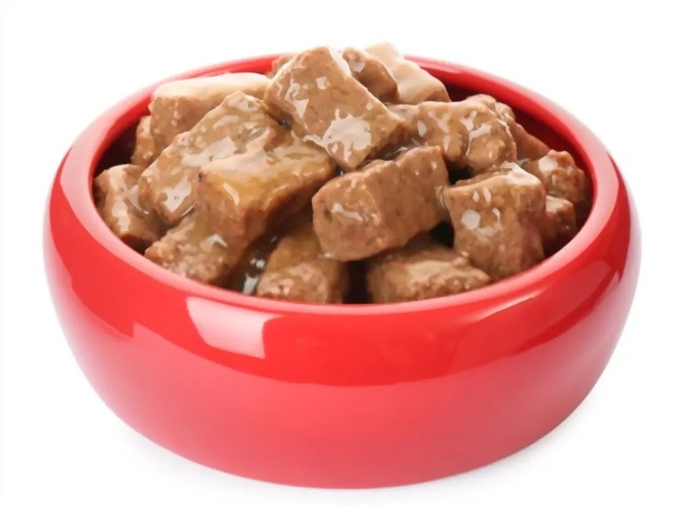 How Long Does Take for a Dog to Digest Food? Petco Dog