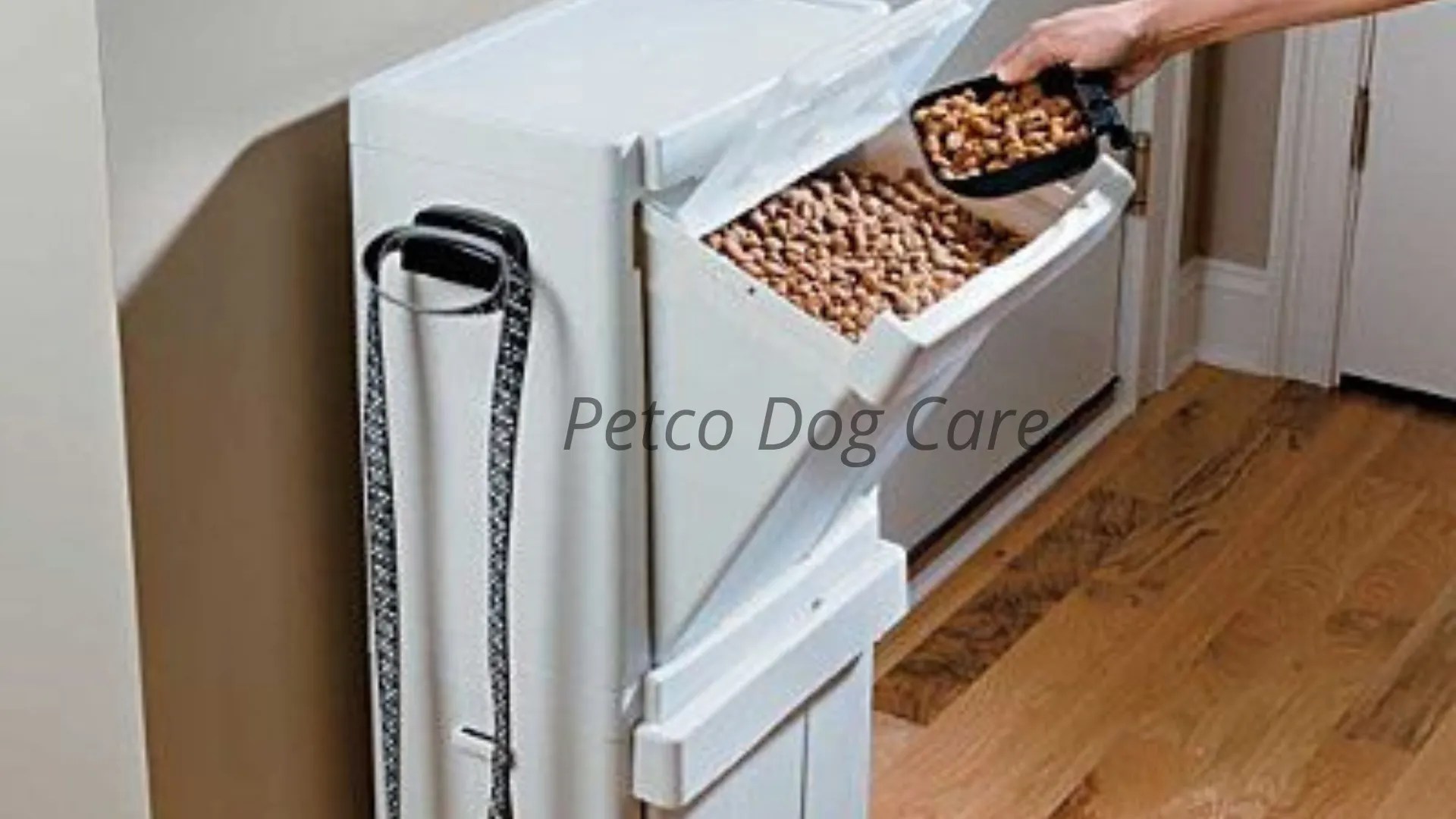 How Long Does Dry Dog Food Last? Petco Dog Care