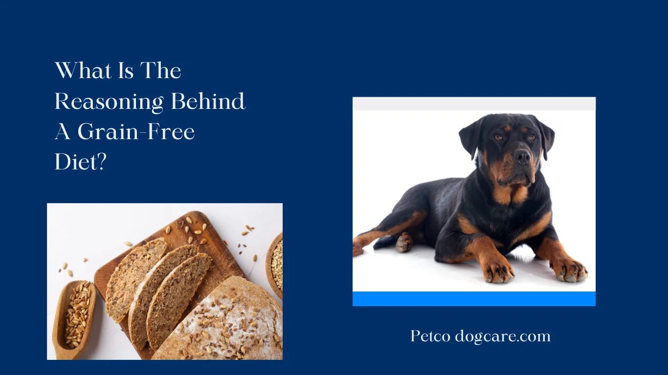 Should Rottweilers Eat a GrainFree Diet? Petco Dog Care