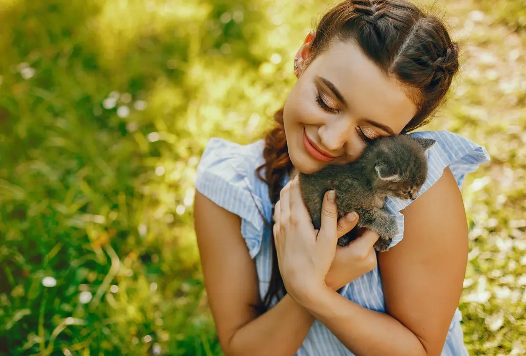 How To Raise a Kitten To Be Cuddly and Affectionate PetCosset