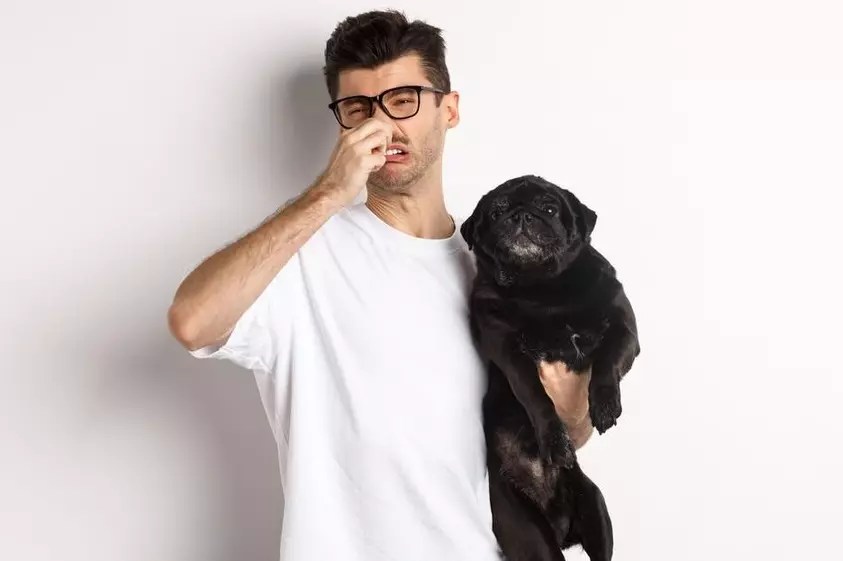 Why Do Dogs Smell Bad After Being Outside?