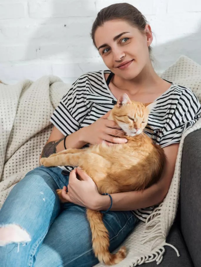 Why Does My Cat's Breath Smell So Bad? 6 Reasons PetCosset