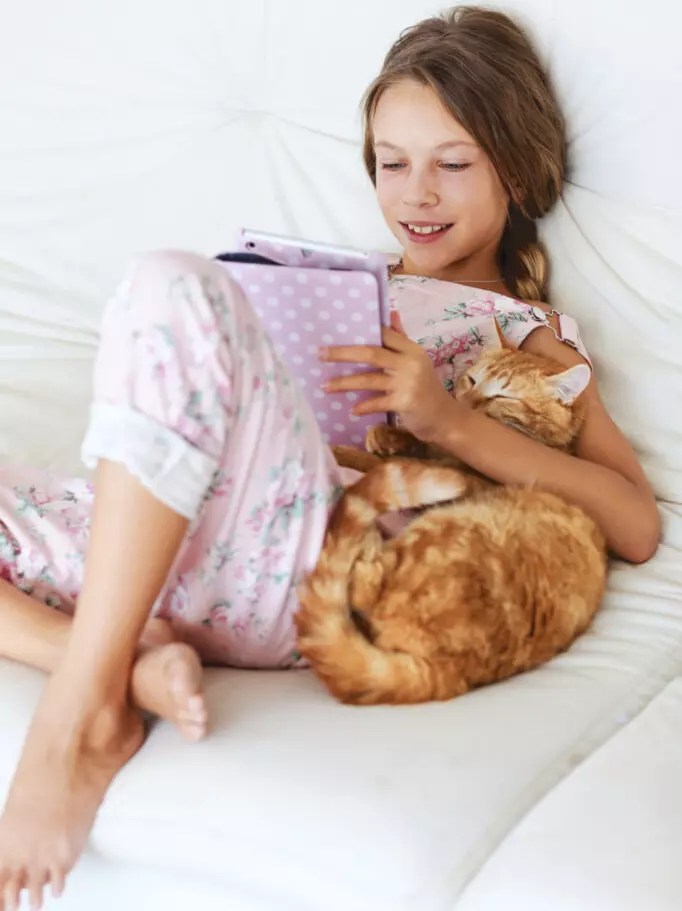 How To Keep A Cat Out Of A Room7 Effective Solutions