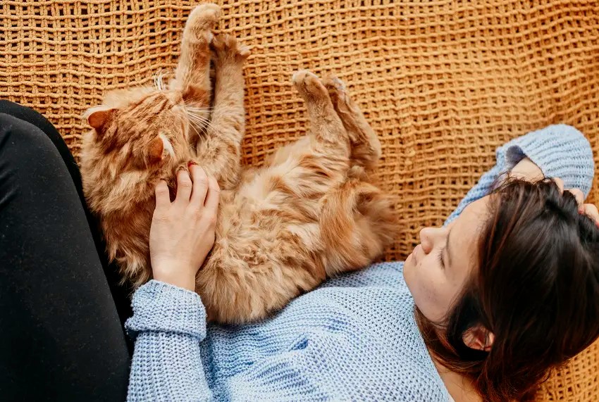 Why Does My Cat Sleep On Me When I'm Sick? PetCosset