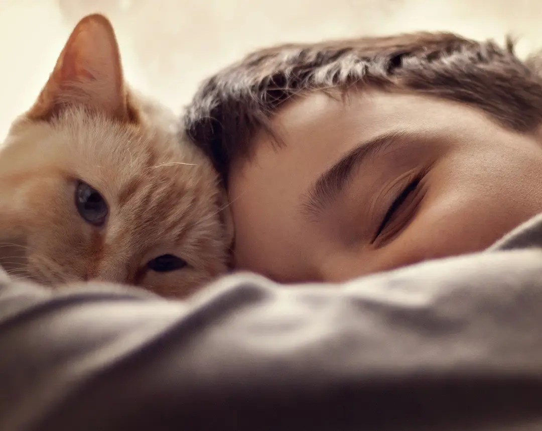 Why Does My Cat Sleep On Me When I'm Sick? PetCosset