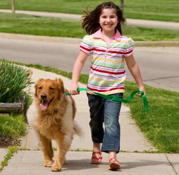 How Often Should You Let Your Dog Out? Here's The Right Schedule