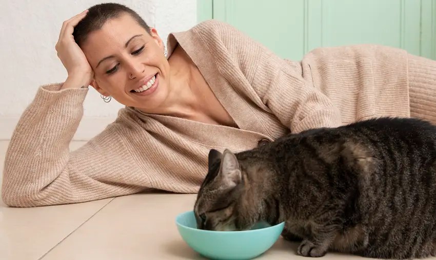 Why Does My Cat Want Me To Watch Her Eat? PetCosset