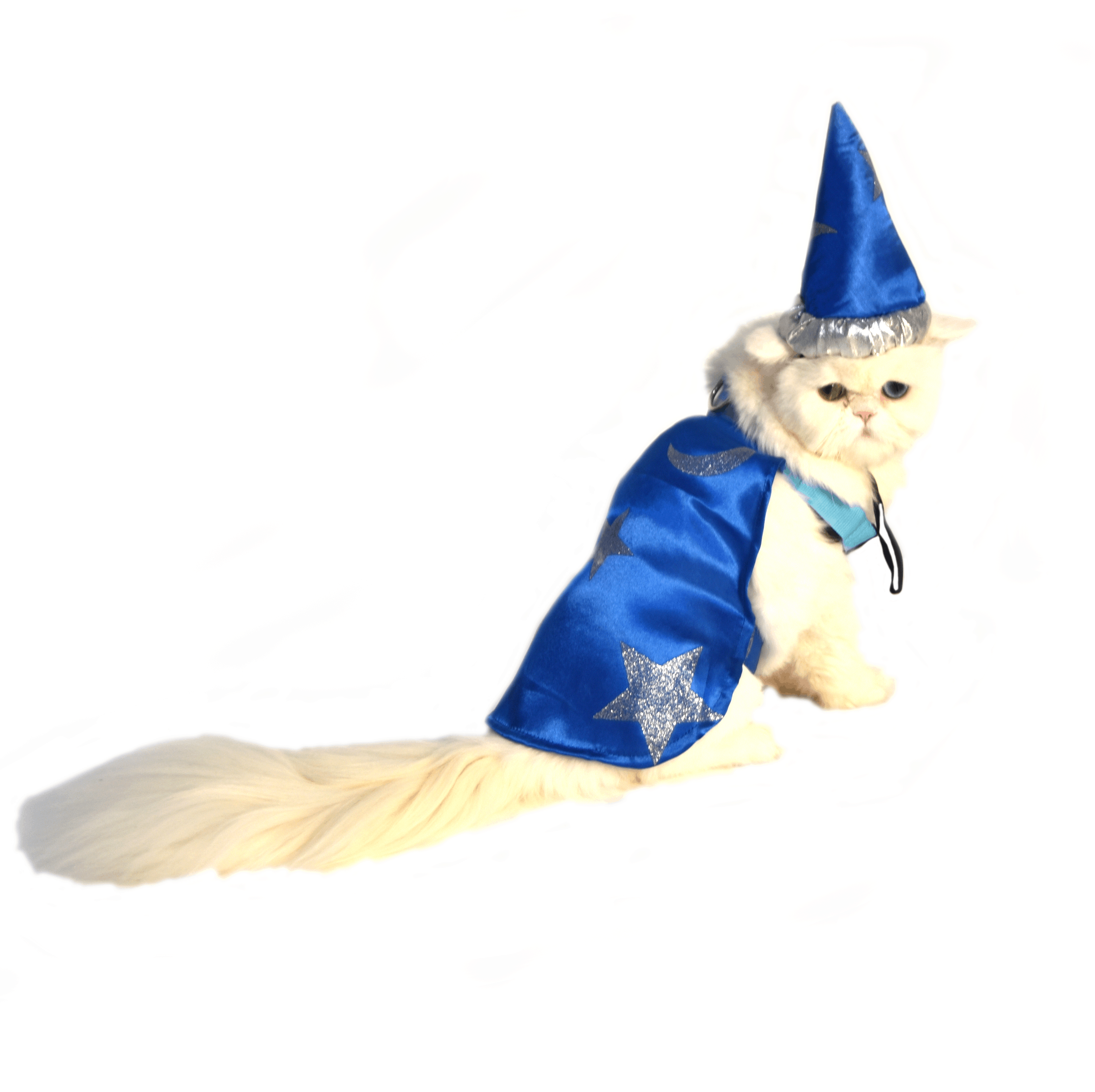 Light Up Wizard Cape Cat Costume Pet Costume Center
