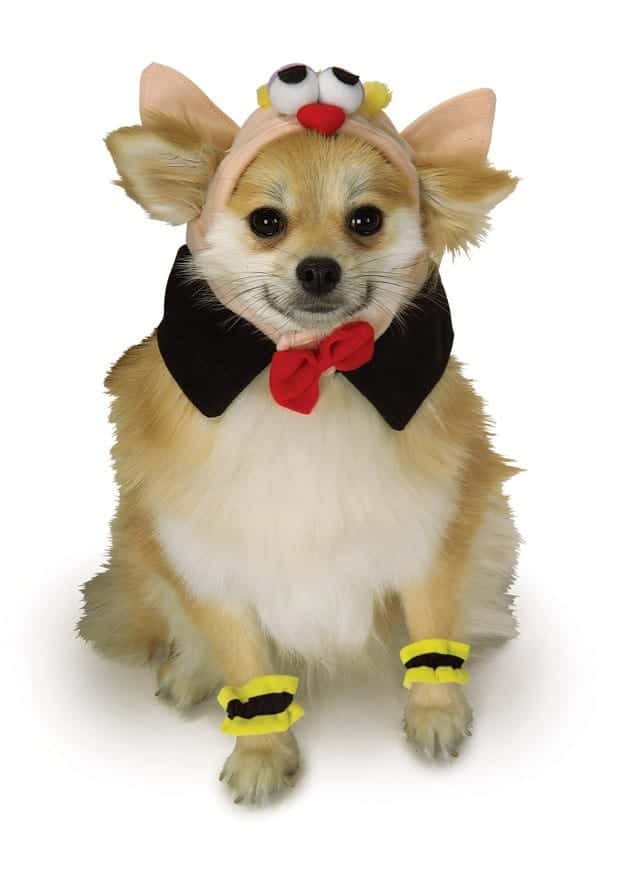 Vampire Dog & Cat Pet Kit Pet Costume Center