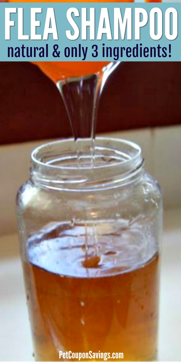 Homemade Flea Shampoo, Only 3 Ingredients! Pet Coupon