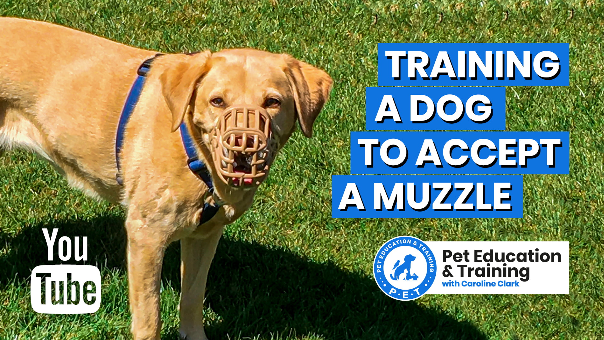 Free Pet Education Resources Pet Education and Training Courses