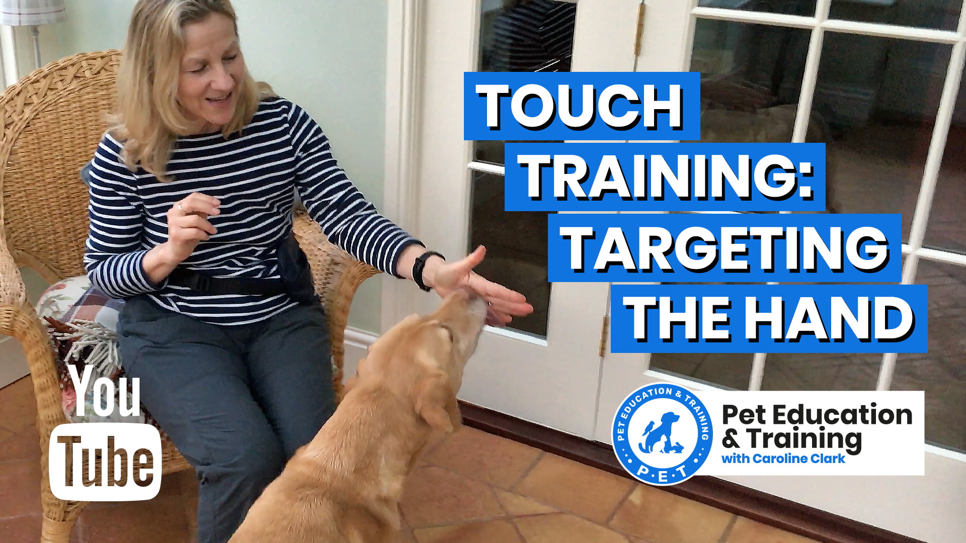 Free Pet Education Resources Pet Education and Training Courses