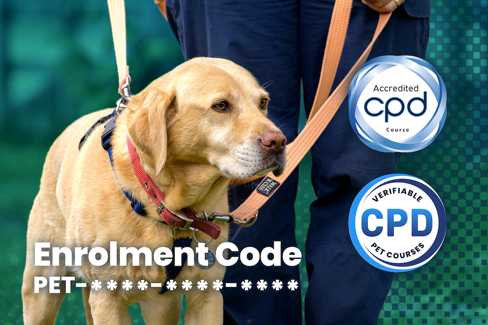 Certificate in Canine Handling & Understanding Communication Signals