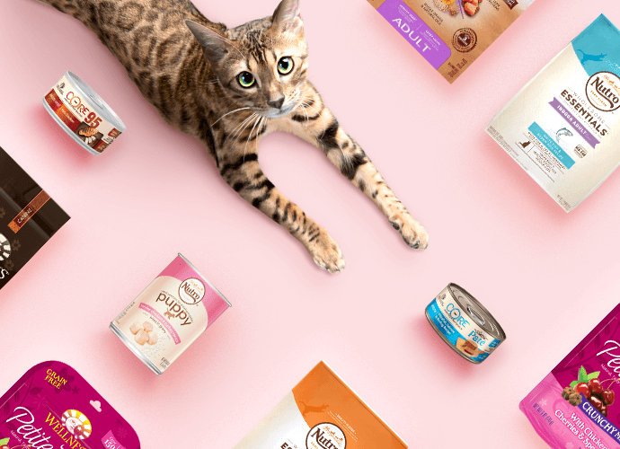 Introduces Premium Food and Treats