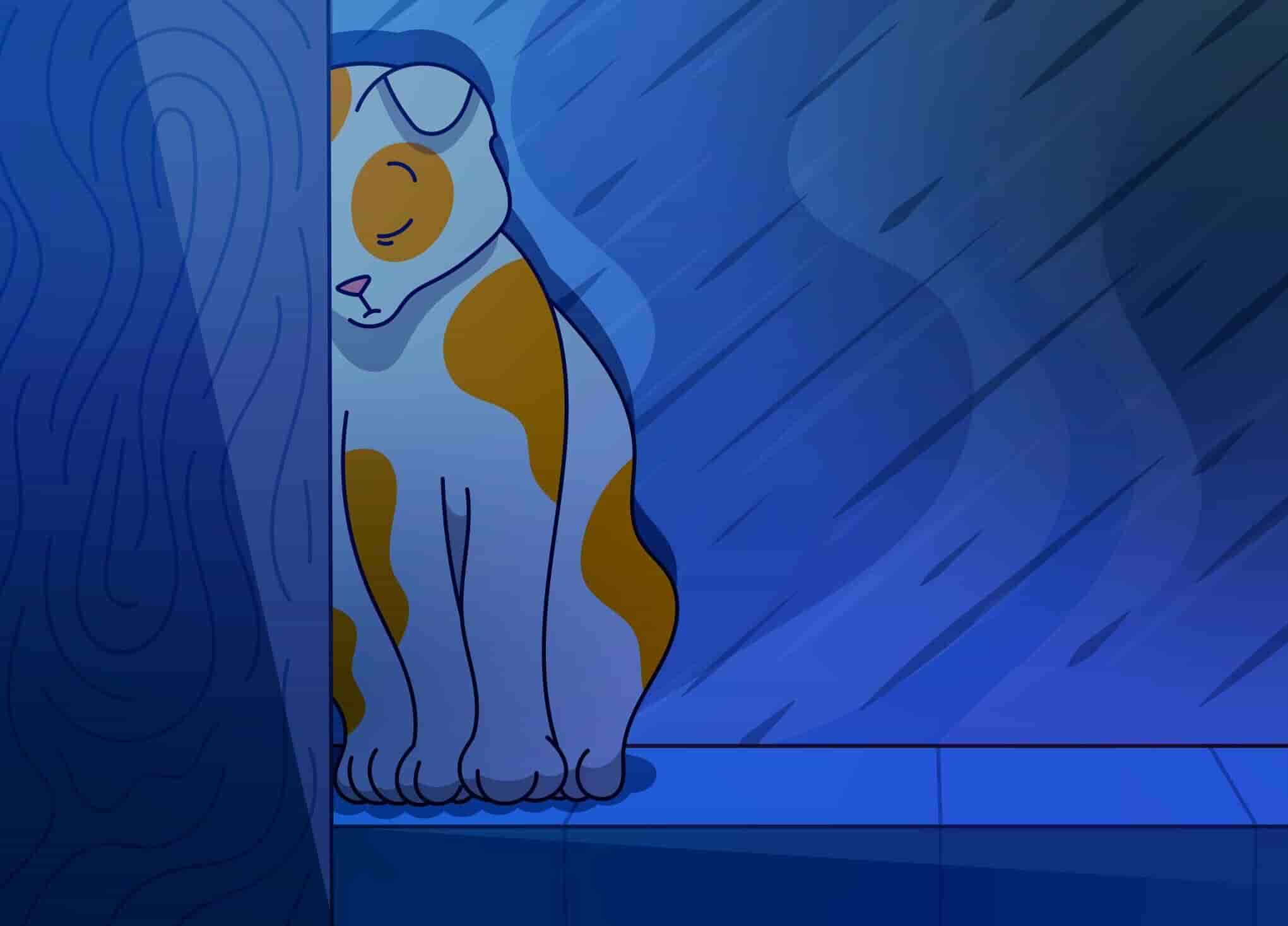 Depression in Cats Understand the Signs, Causes, and Treatment