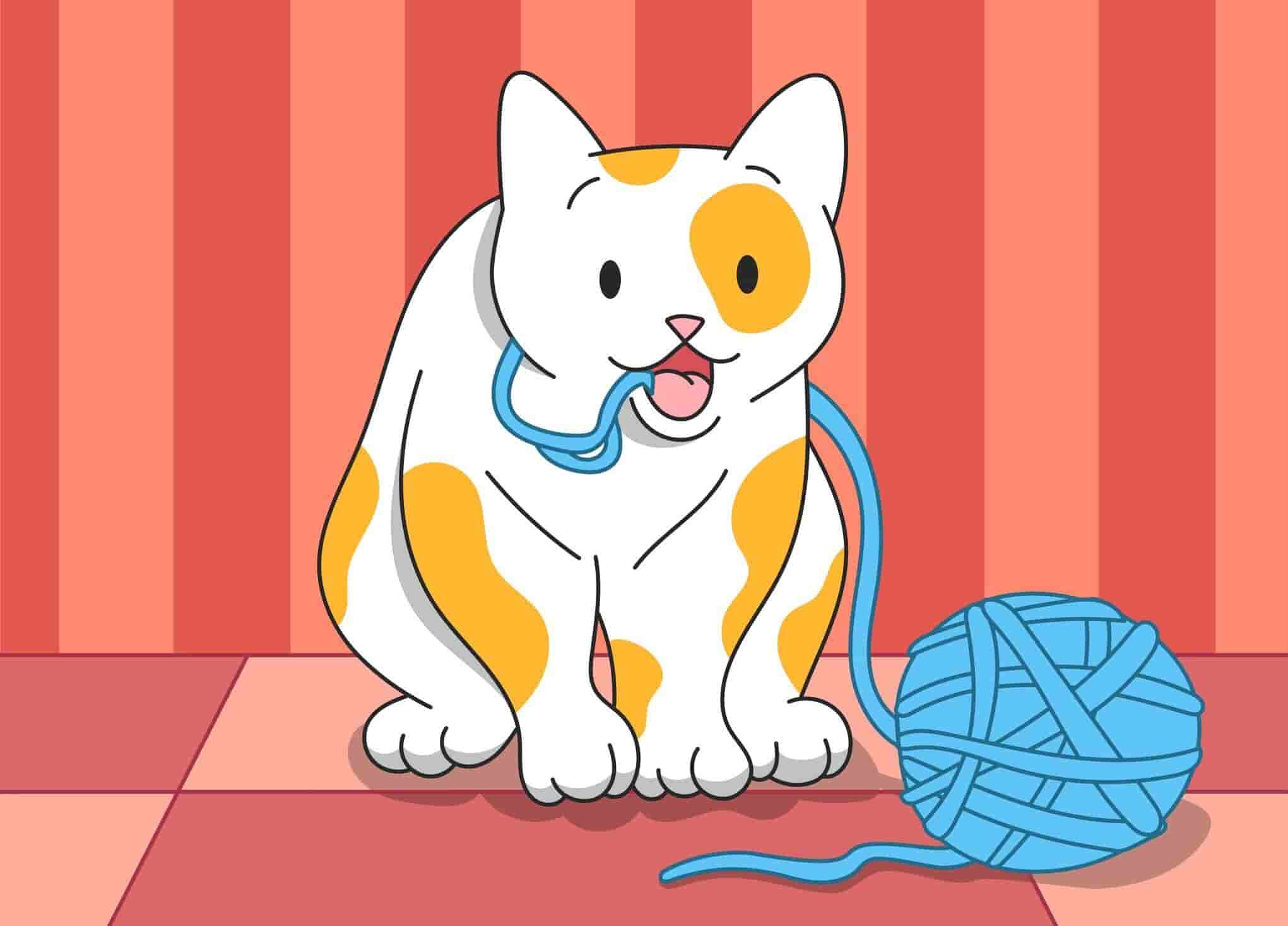 Pica in Cats Why Your Cat Eats Weird Things