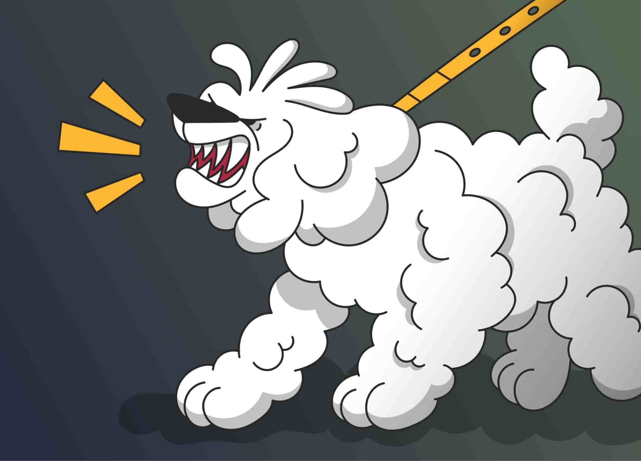 how to stop food aggression in dogs towards cats Veins Newsletter