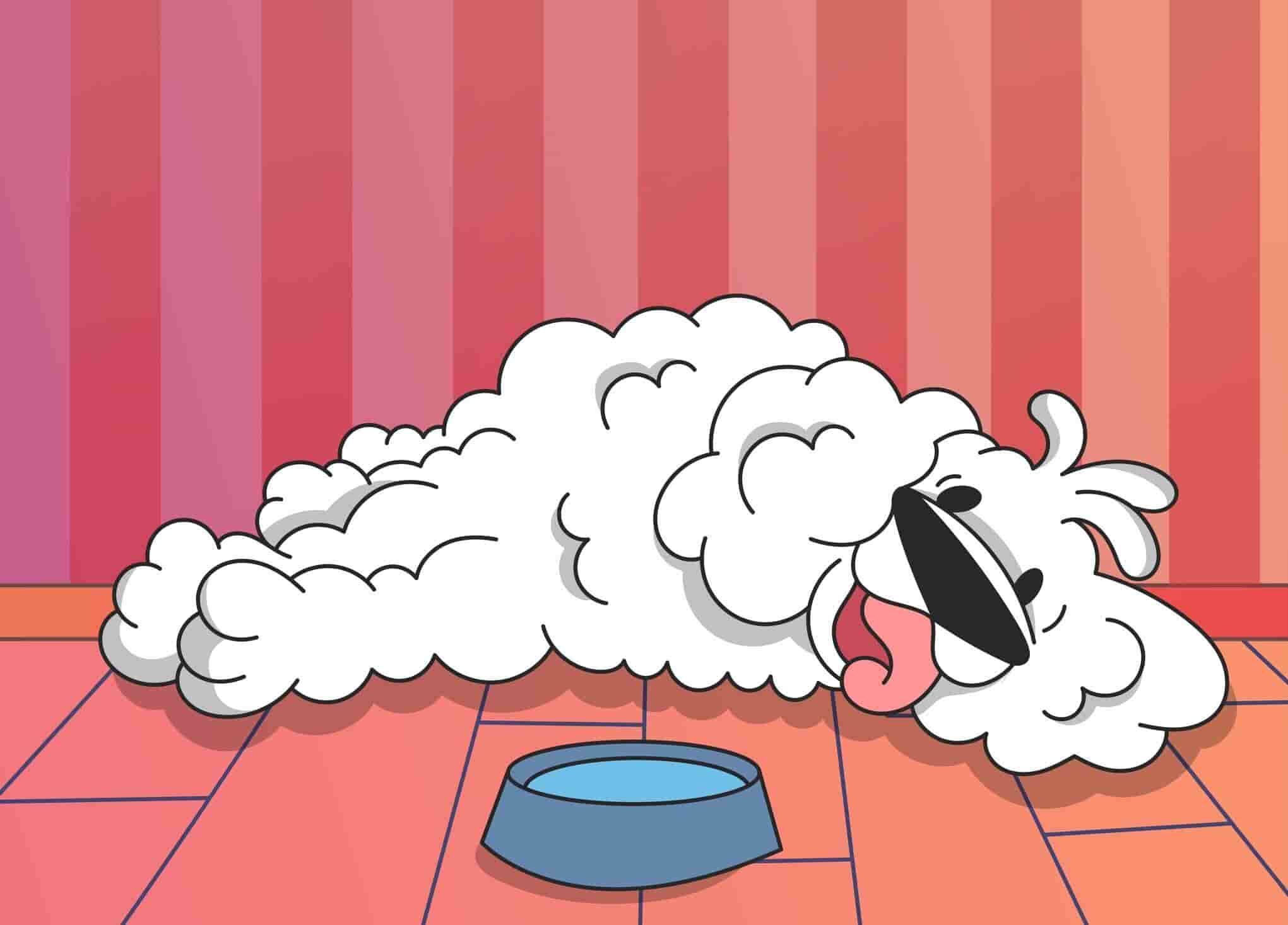 Why Is My Dog Shaking And Panting At Night