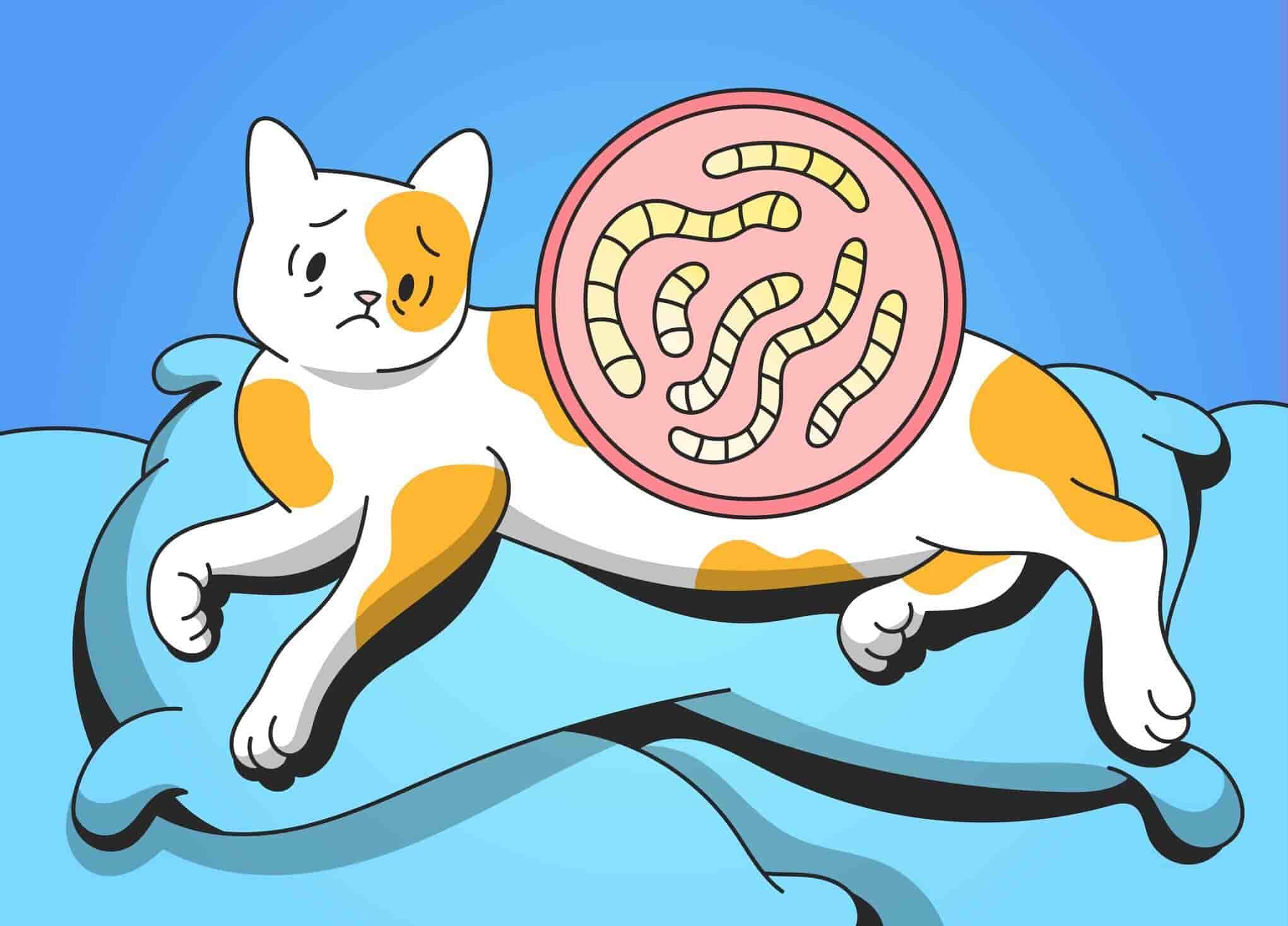 Can A Dog Get Worms From Eating Cat Poop