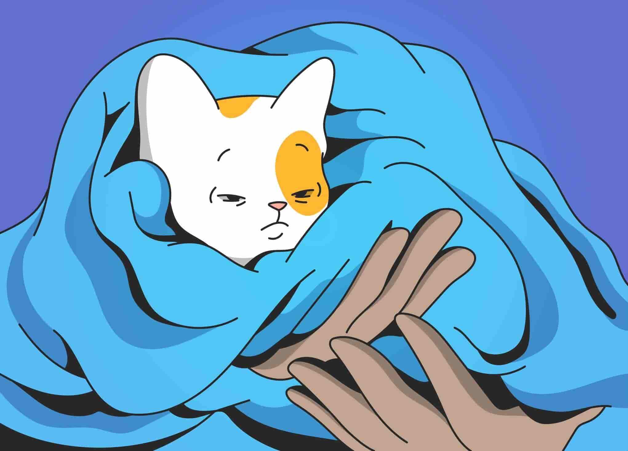 Why Do Dogs Roll On Their Backs?