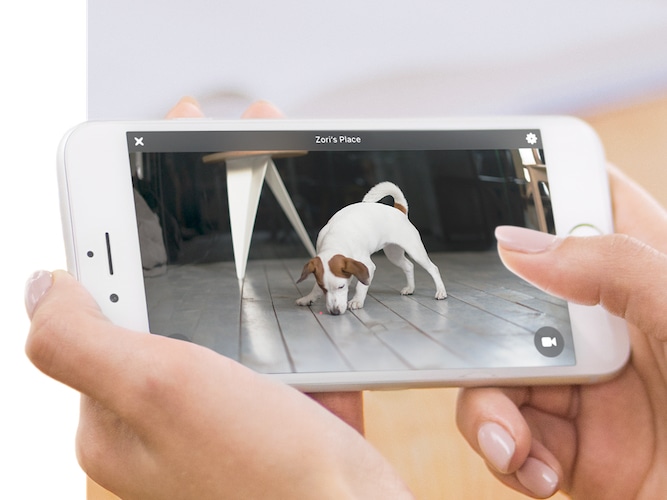 Petcube Remote WiFi Pet Camera Pet Monitor System