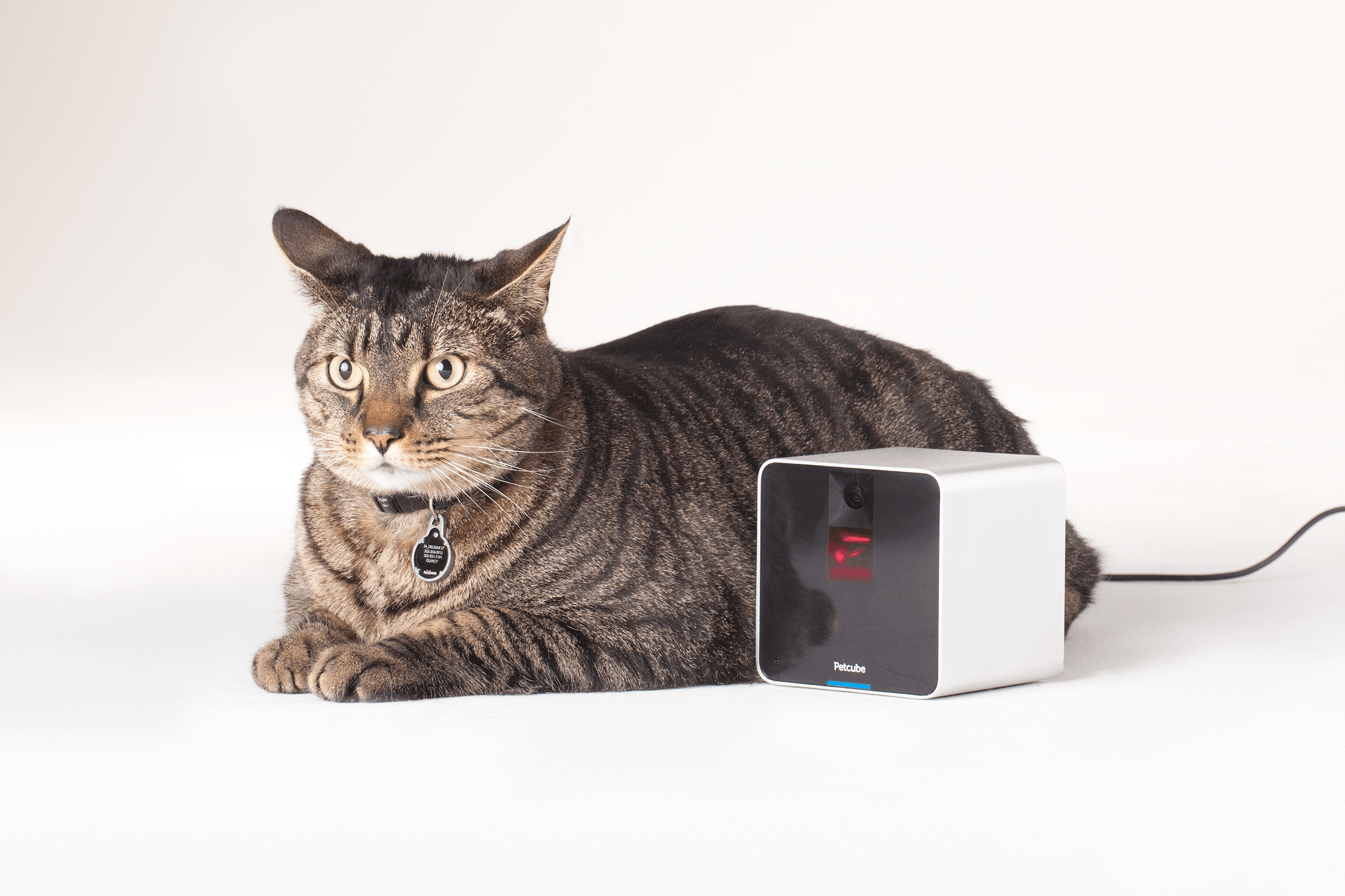 Media Petcube Remote WiFi Pet Camera Pet Monitor System