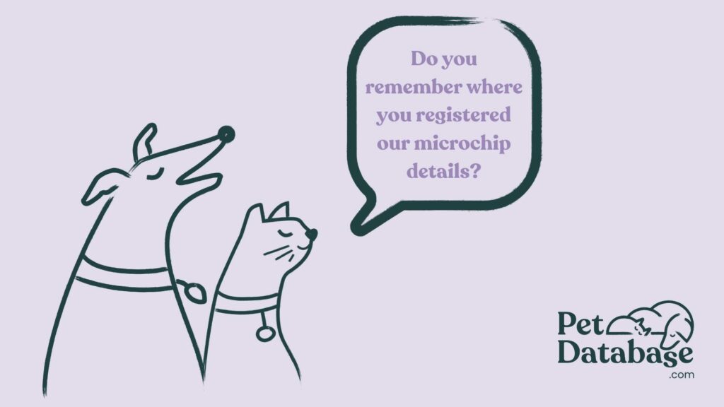 Pet Keep Your Pet Safe And Found