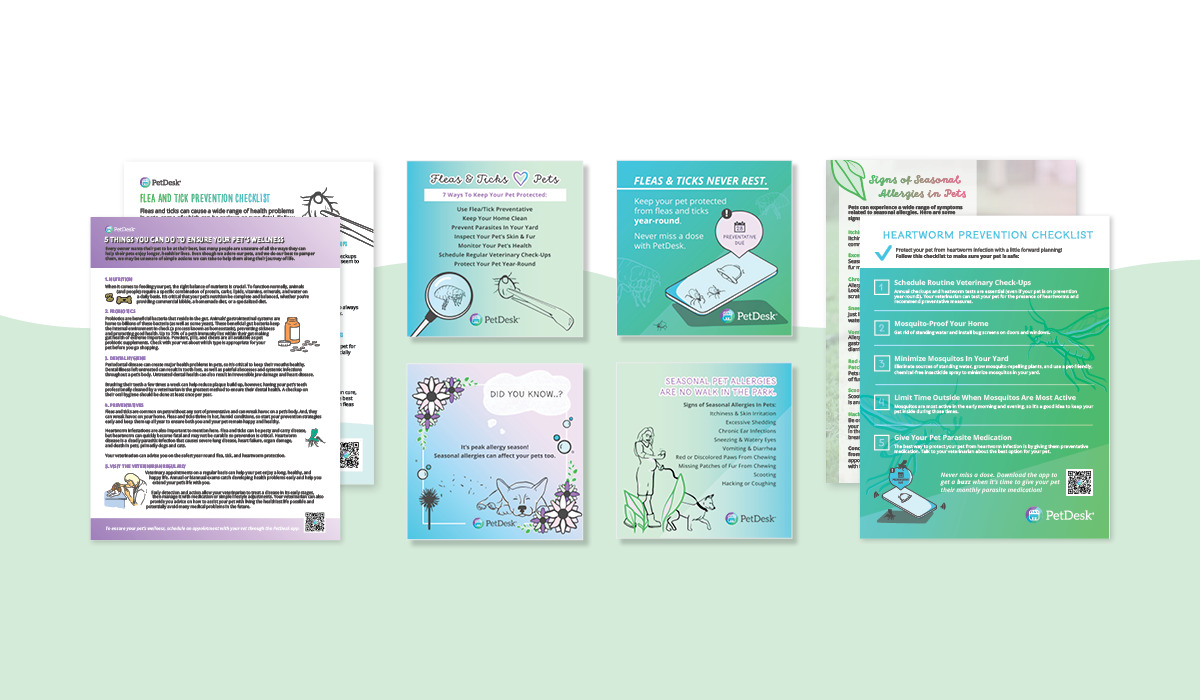 Spring Forward Into Veterinary Client Education PetDesk