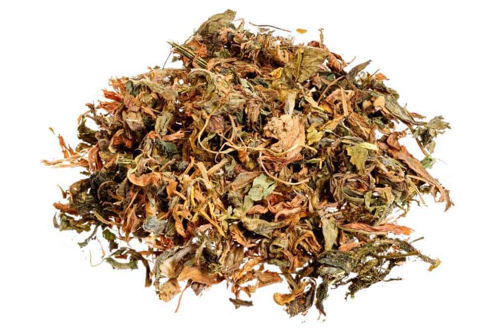 Can Guinea Pigs Eat Alfalfa? Pet Diet Guide