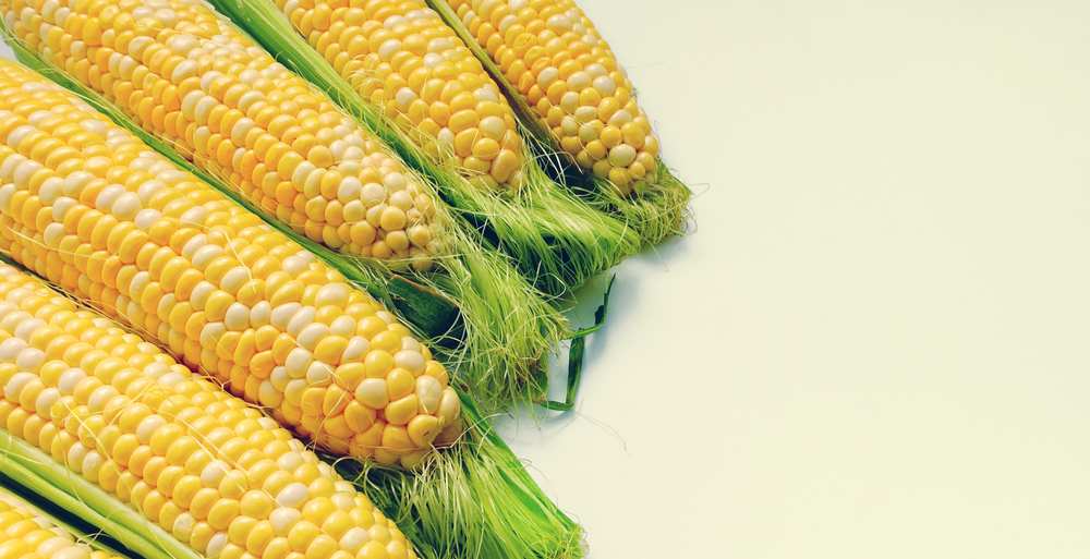 Can Rabbits Eat Baby Corn? Pet Diet Guide