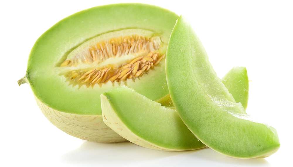 Can Dogs Eat Honeydew? Is Honeydew Bad For Dogs? Pet Diet Guide