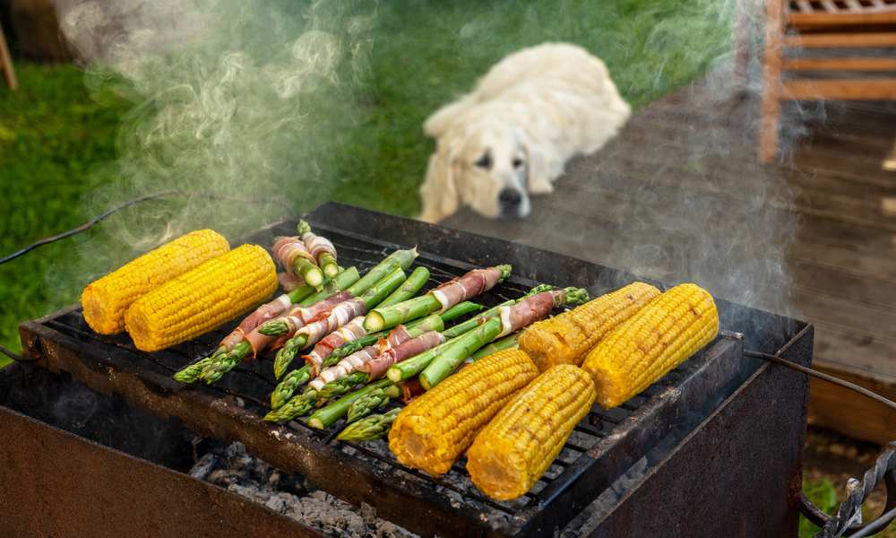 Can Dogs Eat Asparagus? Is Asparagus Bad For Dogs? Pet Diet Guide