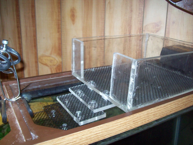 DIY Turtle Basking Box
