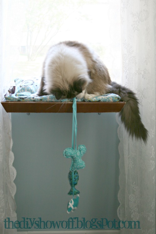 Tray Cat Window Perch