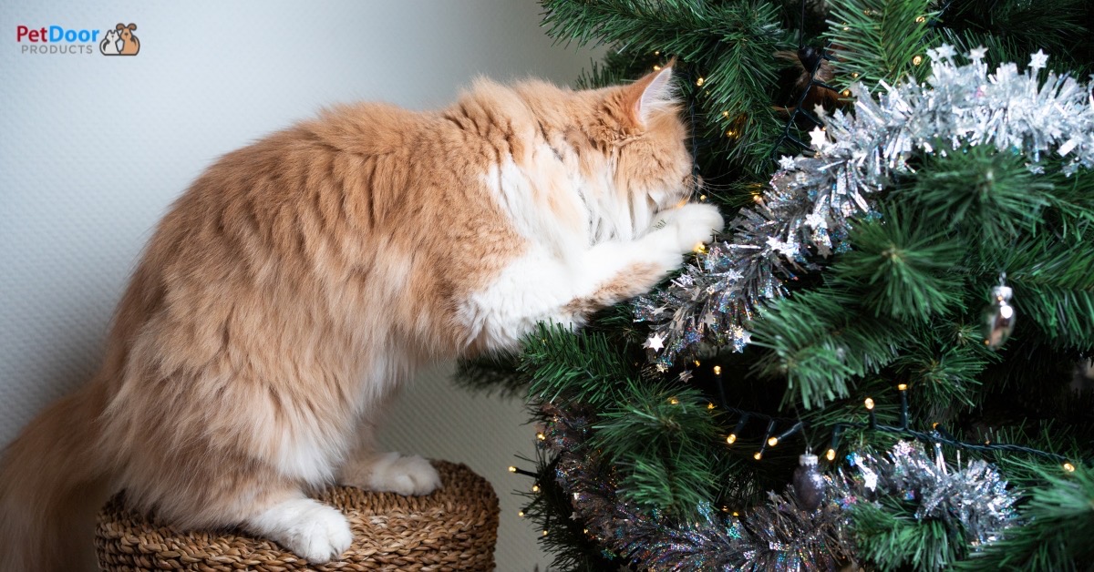 Keep Cats Out of Your Christmas Tree Pet Doors for Glass News