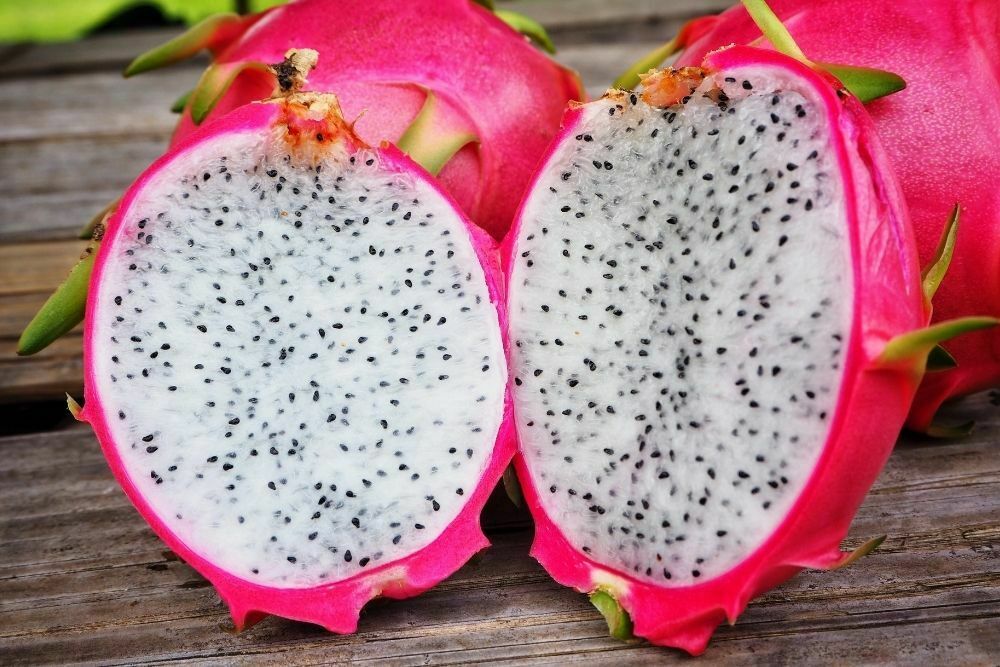 Can Dogs Eat Dragon Fruit?