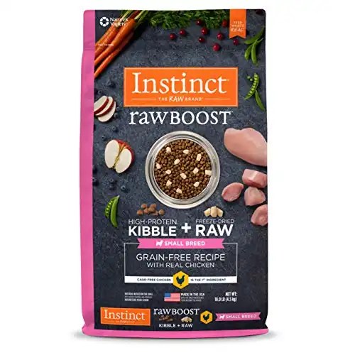 Best Dog Food for Maltipoo Ultimate Guide