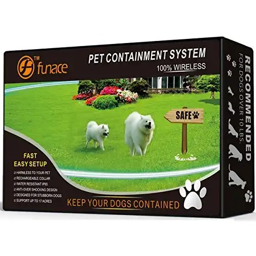 Best Wireless Dog Fence for 2024 PetDT