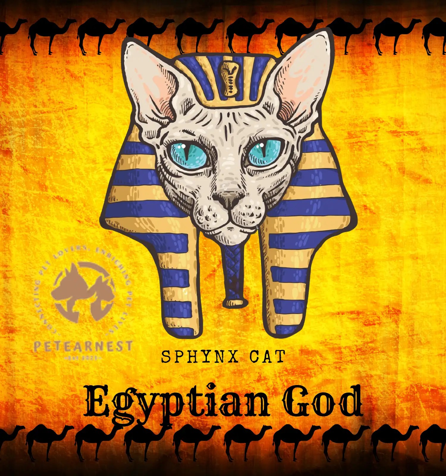 Sphynx Cat Egypt 7 Surprising Facts Unleashing the Enigmatic Charm of the Mystical Feline