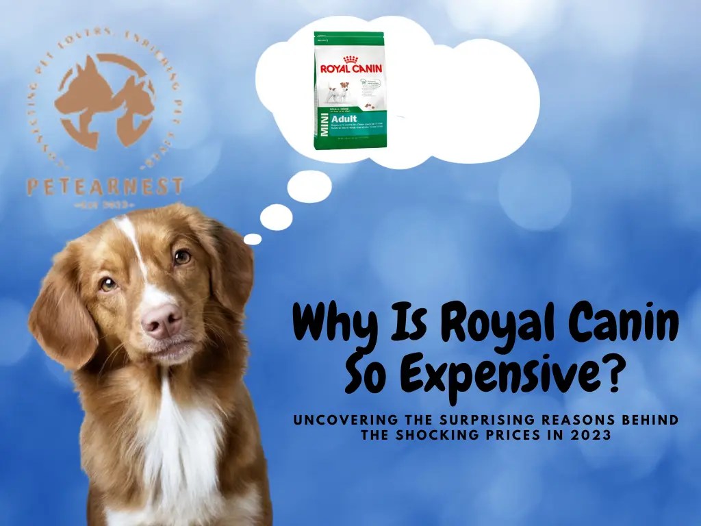 Why Is Royal Canin So Expensive? Uncovering the Surprising Reasons