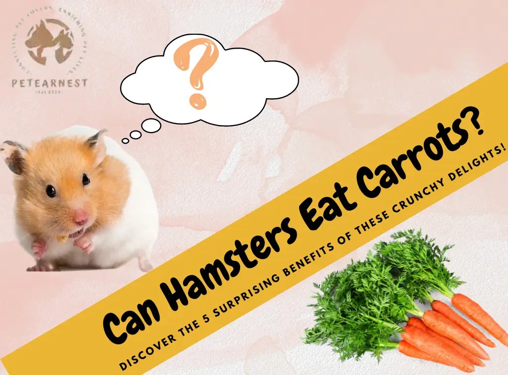 Can Hamsters Eat Carrots? Discover the 5 Surprising Benefits of These Crunchy Delights! PetEarnest