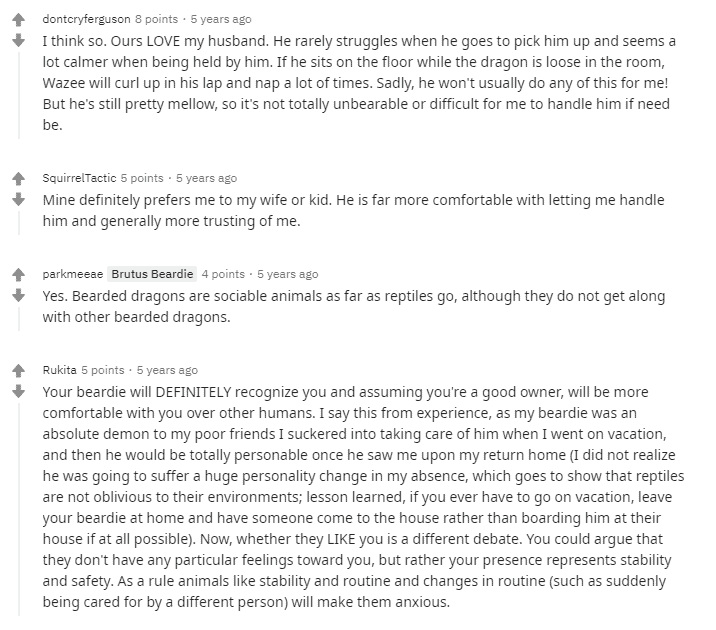 Can Bearded Dragons Recognize Their Owners? [& Their Name?]