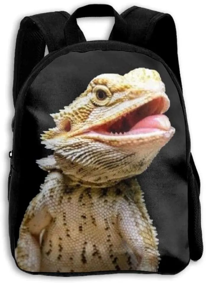 16 Of The Best Bearded Dragon Gifts You Can Buy