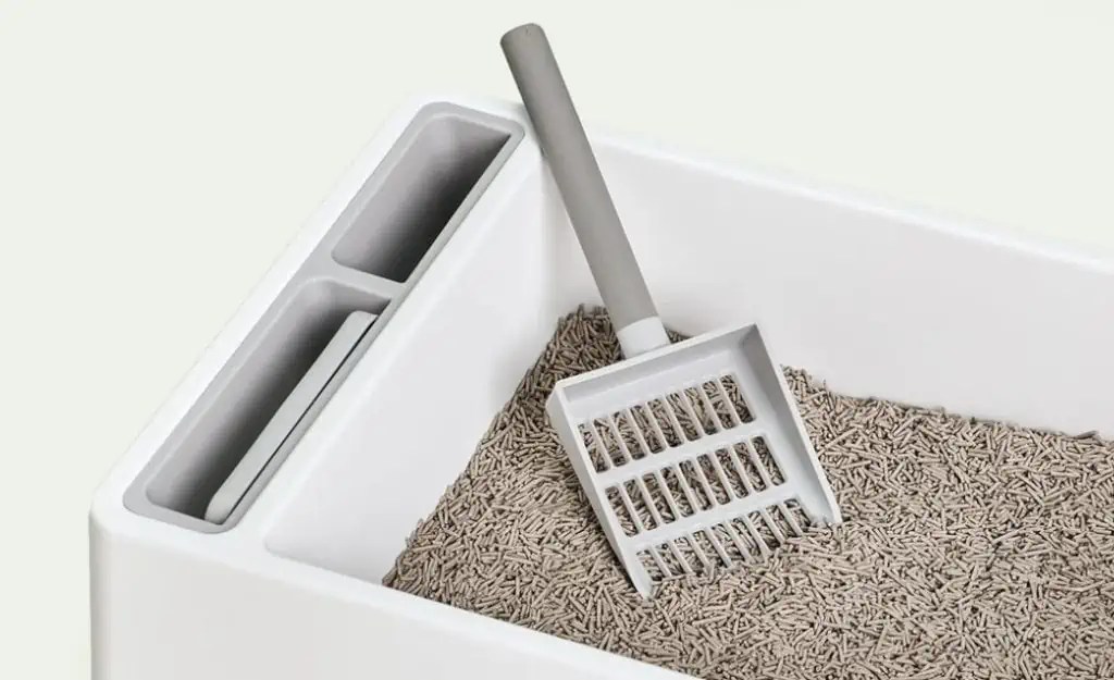 Tuft + Paw Cat Litter Review [Is It Worth The Hype?] » Pet Educate