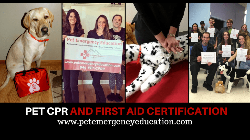PetCPR+ Canine and Feline CPR and First Aid Pet Emergency Education