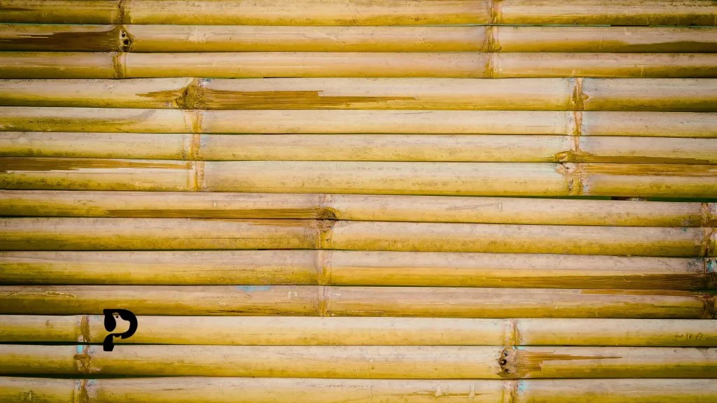 Is Bamboo Safe For Crested Geckos? Pet Engineers