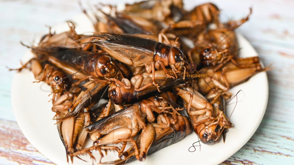 Can Tokay Geckos Eat Crickets? Pet Engineers