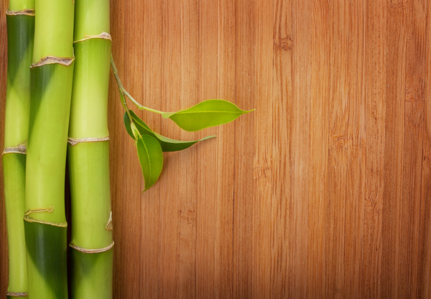 9 questions you would like to ask about bamboo flooring Hardwood