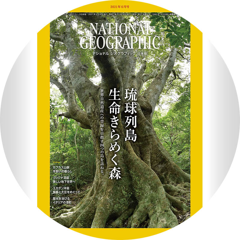 National Geographic Japan 06/2021 Caves Peter Gedei Cave Photography