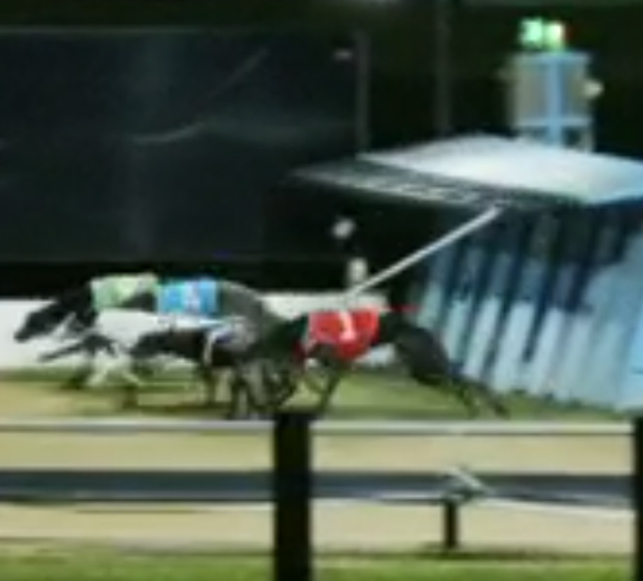 Someone Has to Rake the Blame For What Happened Last Night in